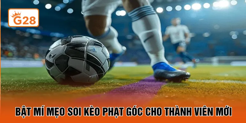 Bật mí mẹo soi kèo phạt góc cho thành viên mới