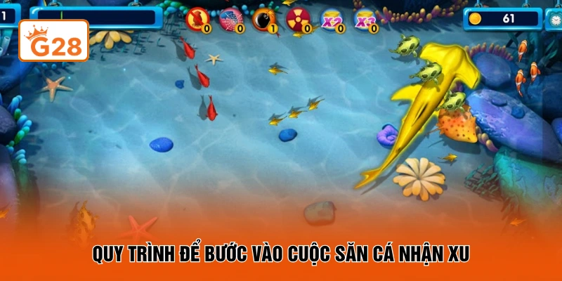 Quy trình để bước vào cuộc săn cá nhận xu